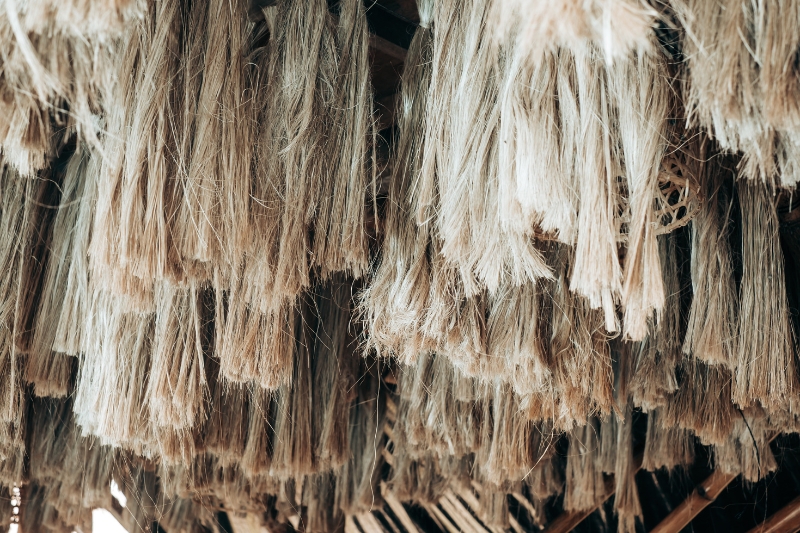 Natural Fibers 